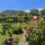 Garten_6_2_Bu2
